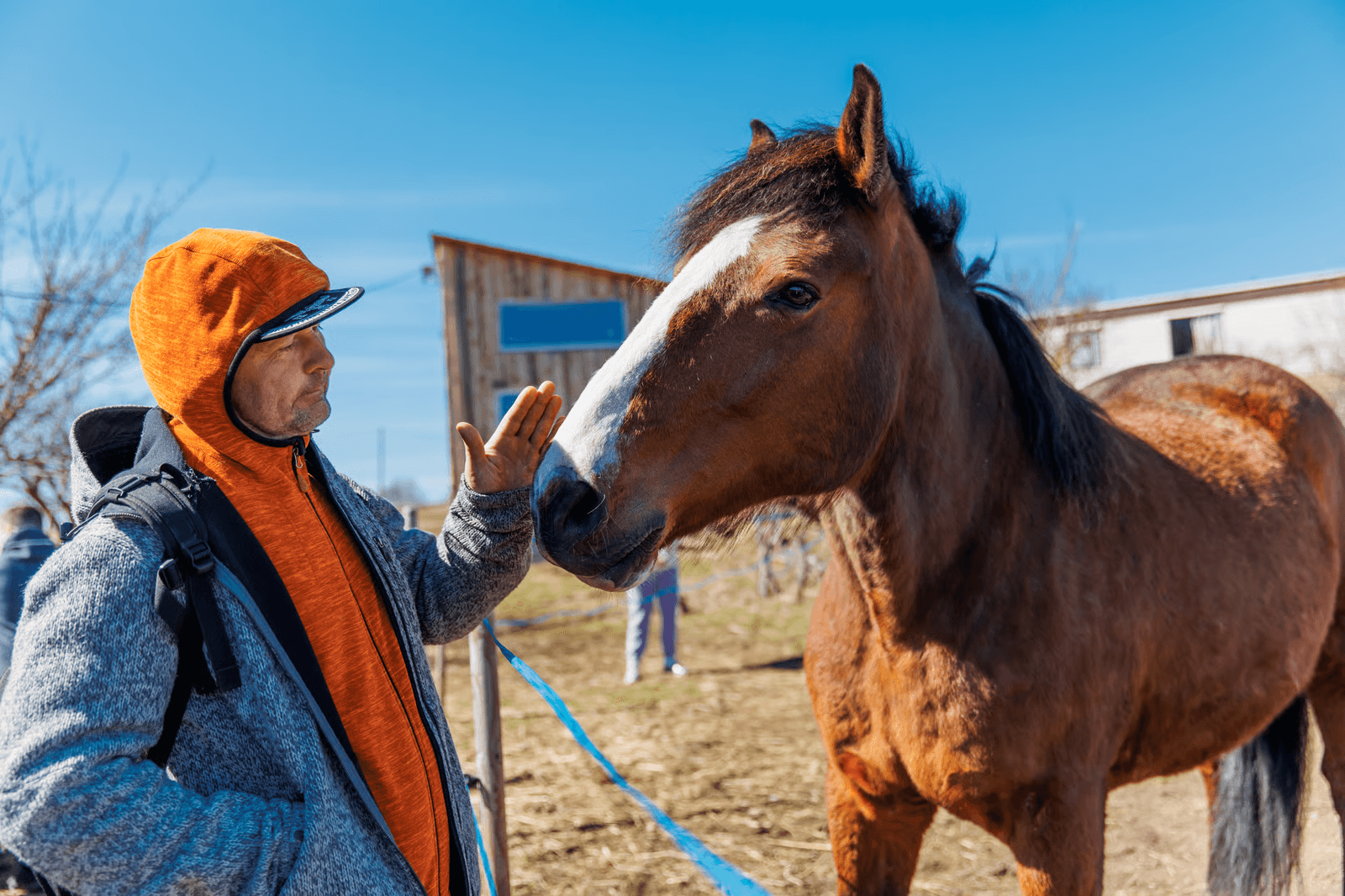 Meadowbrook Equine Sanctuary Support
