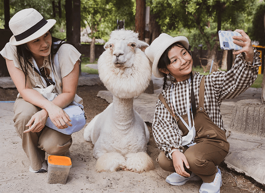 Two people taking a selfie with an alpaca